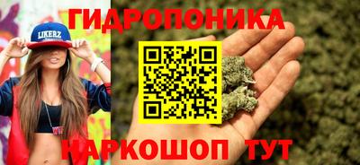 Альфа ПВП Тверь