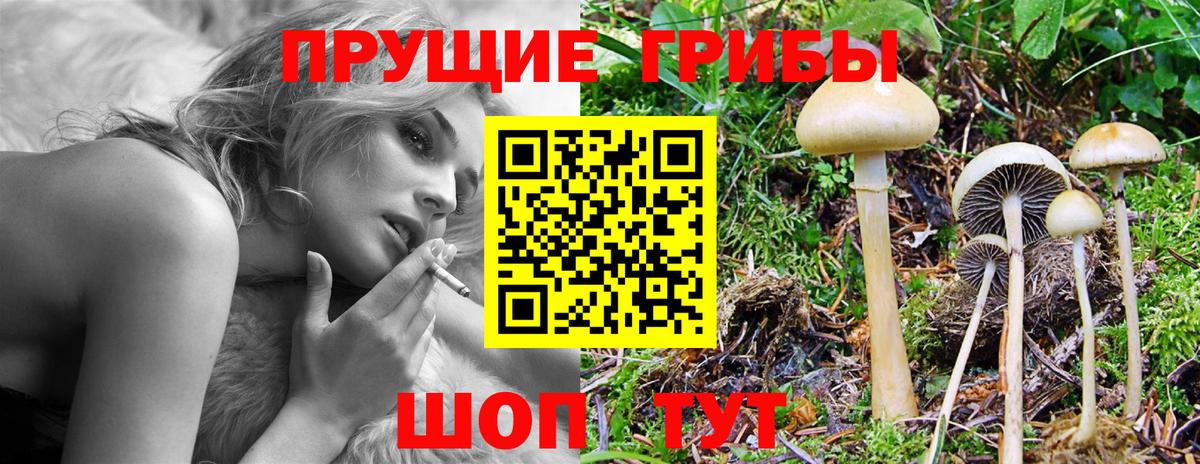 Галлюциногенные грибы прущие грибы  закладка  Санкт-Петербург  Вход с VPN 