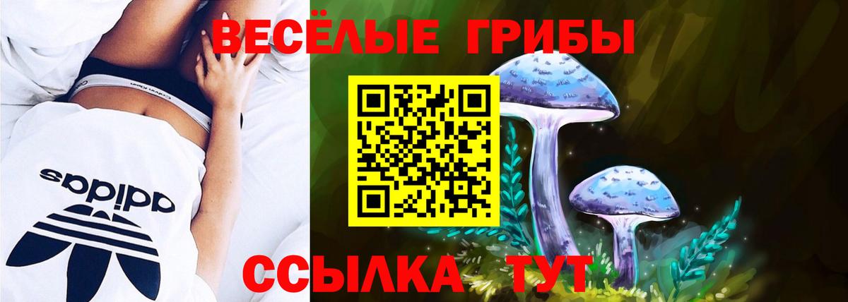Галлюциногенные грибы ЛСД Санкт-Петербург